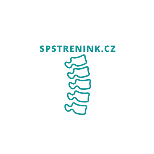 Spstrenink logo