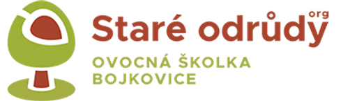 Stareodrudy.org logo