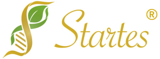 Startes.cz logo