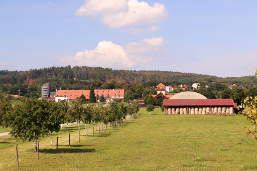 Statek Olšany - restaurace logo