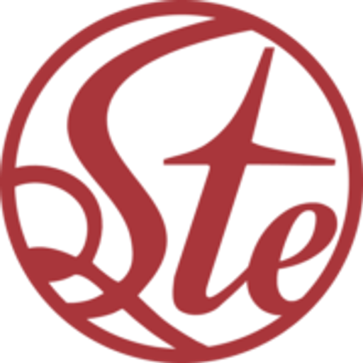 STEINEX a.s. logo