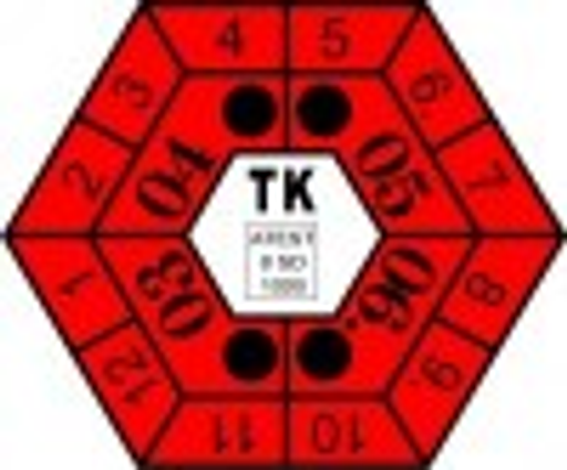 TZ Auto, s.r.o. logo
