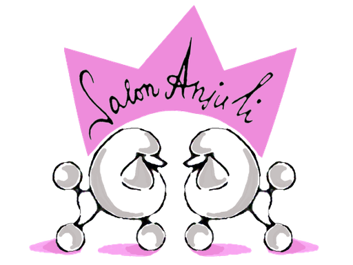 SALON ANJULI logo