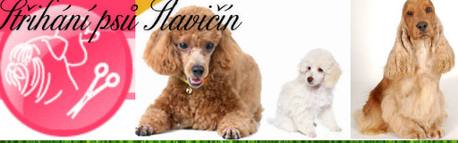 MVDr. Silvie Hověžáková logo