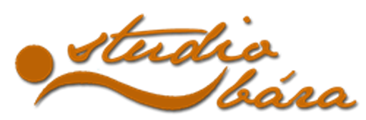Studio Bára logo