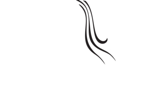 Vlasové studio PALME logo