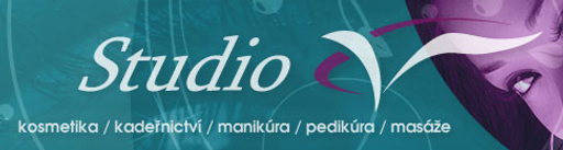 Studio V logo