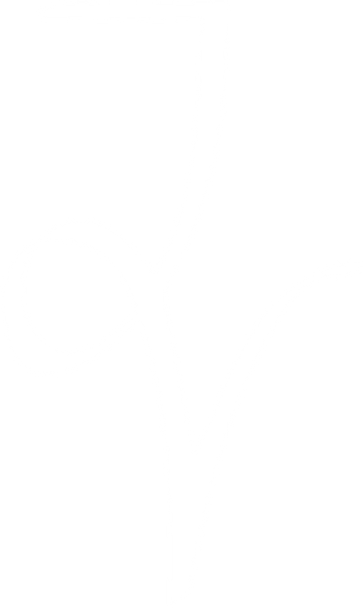 Jana Vlčková - Studio JV logo