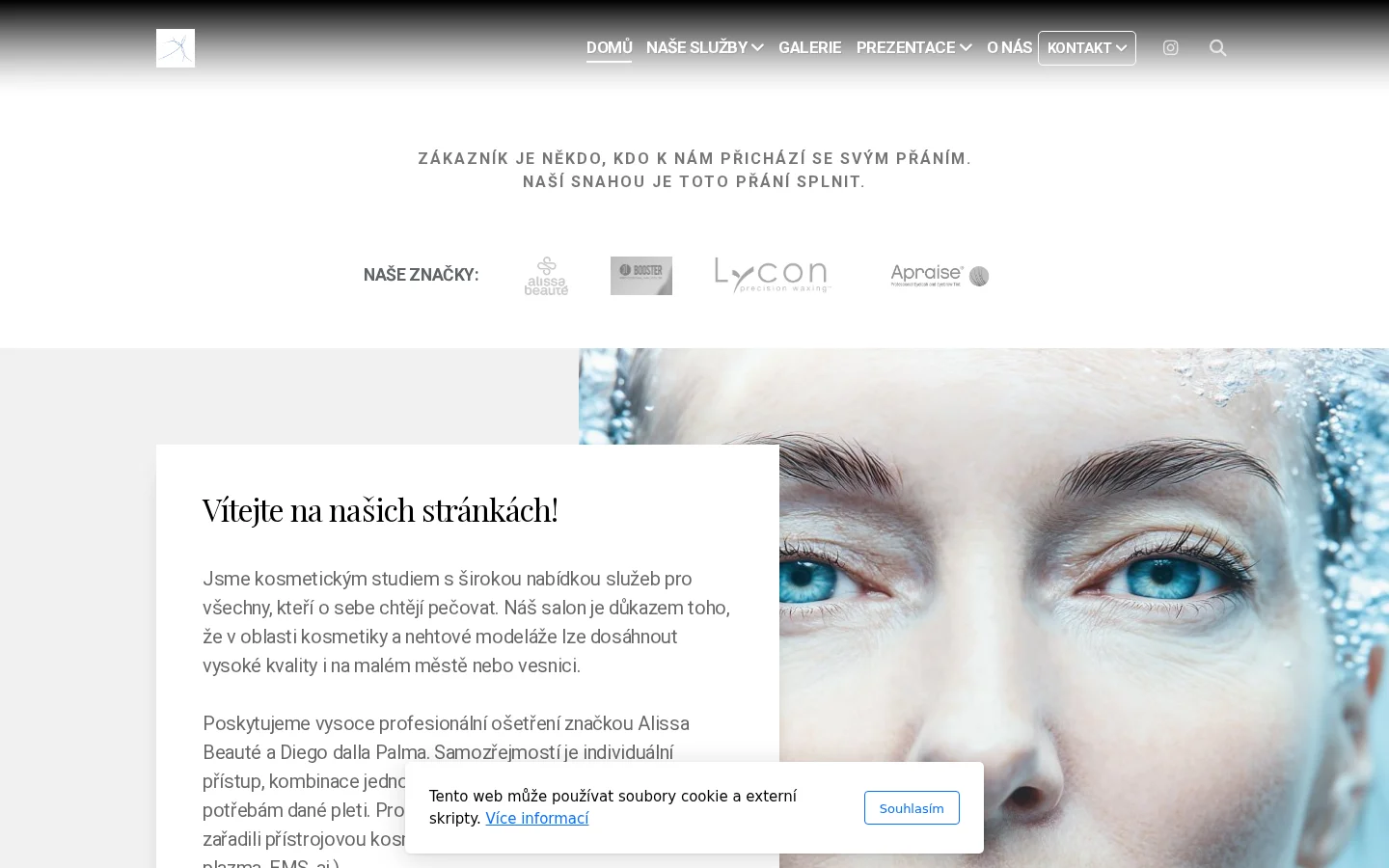 Studio Lešná website
