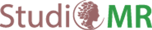 STUDIO MR logo