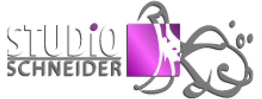 Studio SCHNEIDER logo