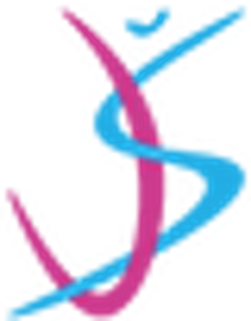 Sportovní studio Jindry Šípkové logo