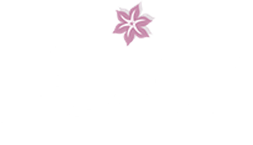 Stylova-svatba.cz logo