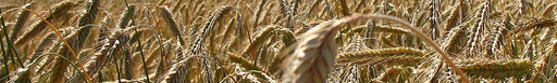 SULPO, s.r.o. logo