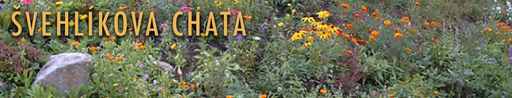 Penzion Švehlíkova chata logo