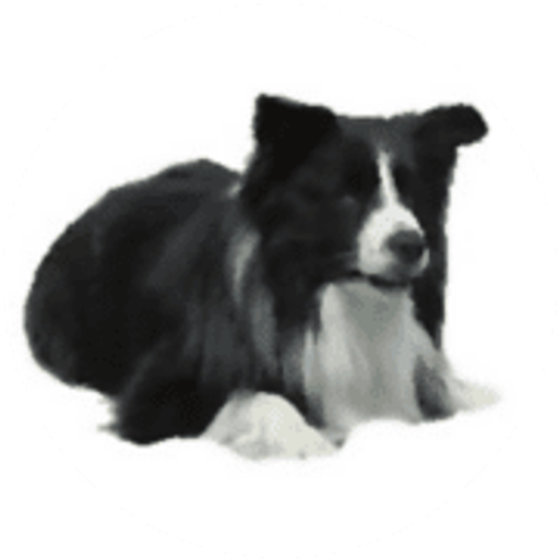 Chata Hořice na Šumavě 126 logo