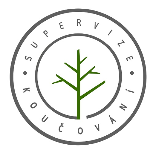 Supervize a koučování Tereza Chladilová logo