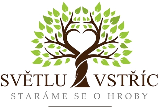 Světlu vstříc logo