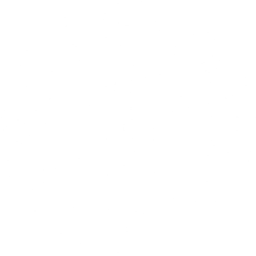 Svaz vodáků České republiky logo