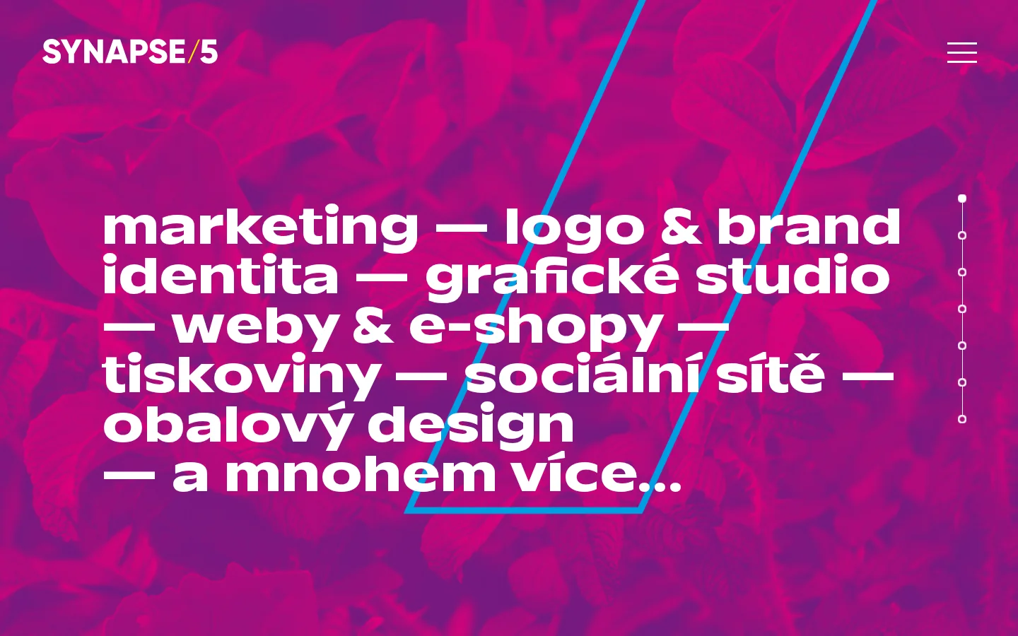 SYNAPSE/5 website