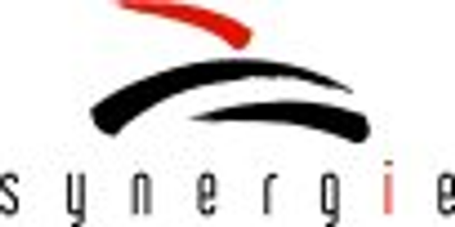 Nakladatelství Synergie logo