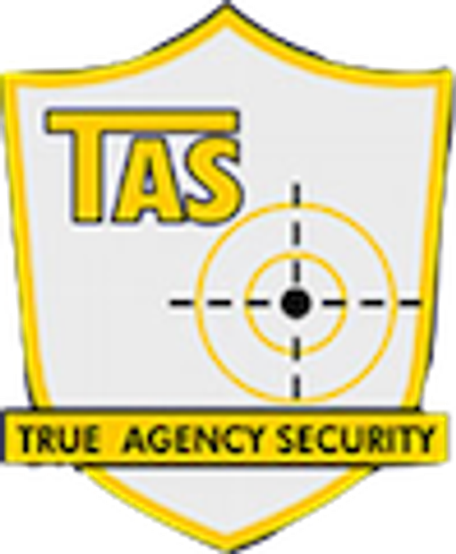 TRUE AGENCY SECURITY logo