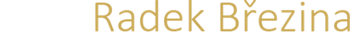 TAXI Radek Březina logo