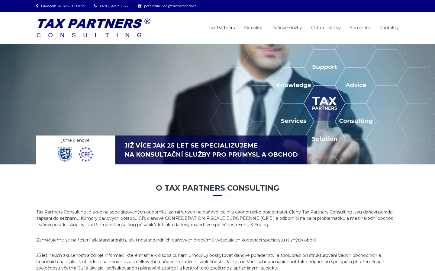 Tax Partners Consulting website