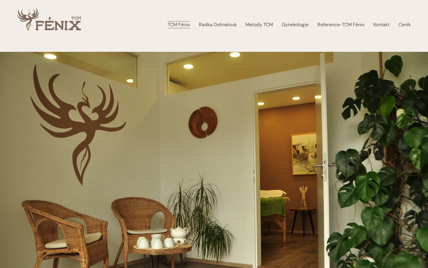 TCM Fénix website