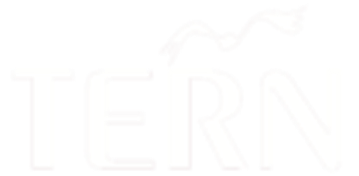 Tern logo