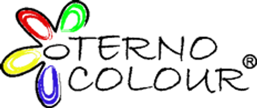 TERNO COLOUR logo