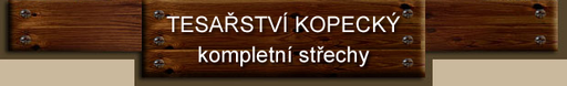 Tomáš Kopecký logo