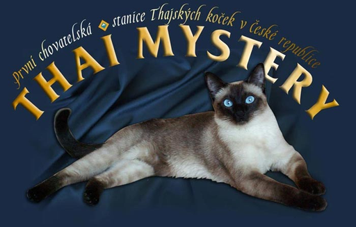 Thai mystery logo