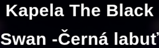 The Black Swan logo