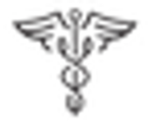 Theomedical sro logo
