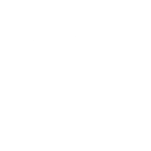 The Placka logo