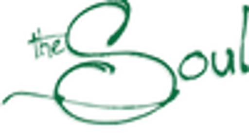 theSoul logo