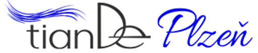 tianDe Plzeň logo