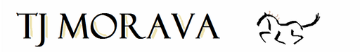 TJ Morava Velké Losiny logo