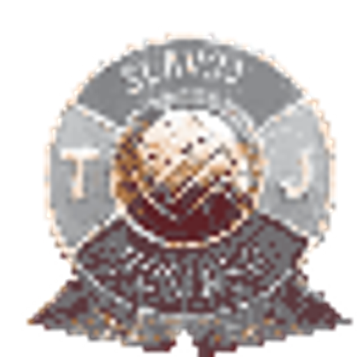 Tělovýchovná jednota Slavoj Husinec logo