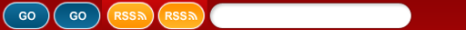 Sokol Brno IV logo