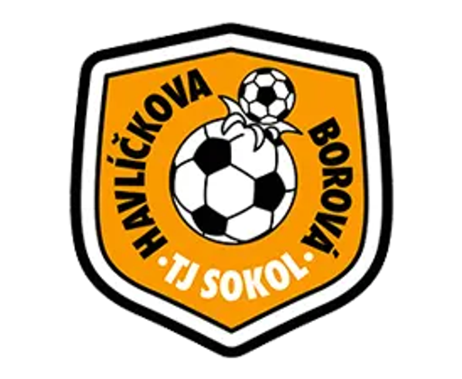 TJ Sokol Havlíčkova Borová logo