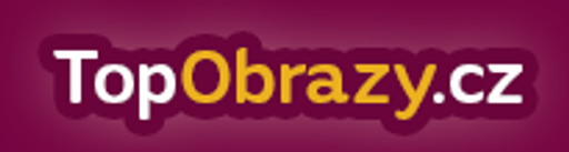TopObrazy.cz logo