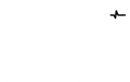 Toptraining by Filip Peřinka logo