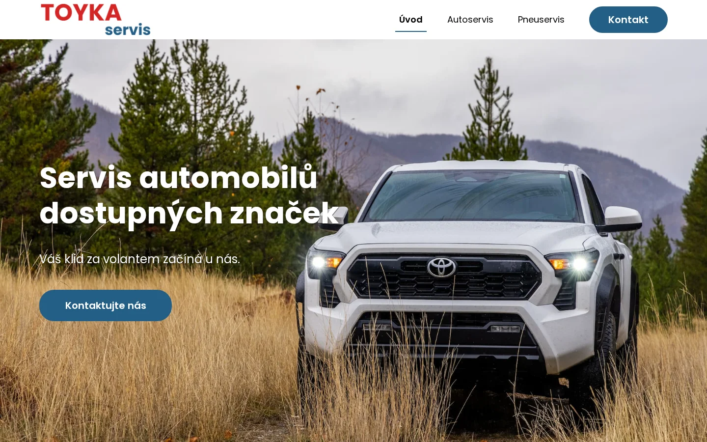 TOYKA servis website