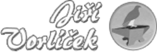 Jiří Vorlíček - Mincové vhozy logo