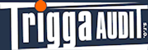 Trigga Audit - CZ, s.r.o. logo