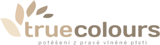 Bursico - TrueColours.cz logo