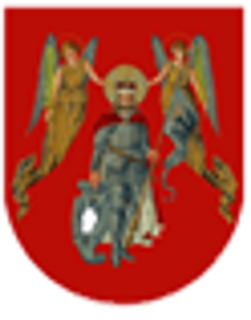 Technické služby Choceň logo