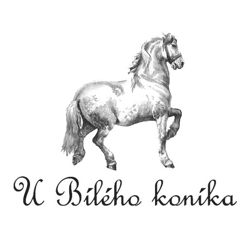 Penzion u Bílého koníka logo